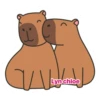 Capibara 😍💕💗 7