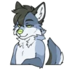 Dusk the dog 10