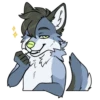 Dusk the dog 11