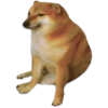 Perrito Sugoi 8