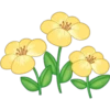 Flores Amarillas 11