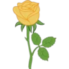 Flores Amarillas 12