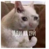 ИДИ НА ХУЙ