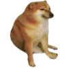 Perrito Sugoi 10