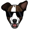 Charlie 7