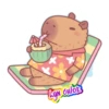 Capibara 😍💕💗 11