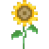 Flores Amarillas 15