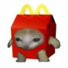 cats 16