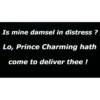 Is mine damsel in distress? Lo, Prince Charming hath come to deliver thee !
