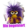 8 Bin begeistert