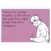 There is no cure for stupidity, so be sure to stay away from stupid people, that shit is contagious.