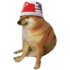 Perrito Sugoi 12