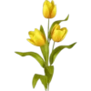 Flores Amarillas 17