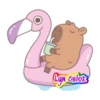 Capibara 😍💕💗 16
