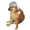 Perrito Sugoi 13