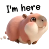 I'm here