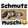 Schmutz Muschie