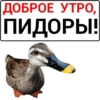 ДОБРОЕ УТРО, ПИДОРЫ!