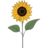 Flores Amarillas 21