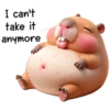I can't take it anymore