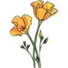 Flores Amarillas 24