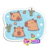 Capibara 😍💕💗 20