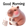 Good Morning