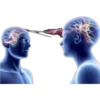 Meme Stickers (English & Sinhala) - #4 💥 22