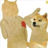 MEMECHAT APP