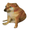 Perrito Sugoi 17