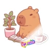Capibara 😍💕💗 21