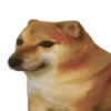 Perrito Sugoi 19