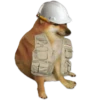 Perrito Sugoi 20