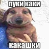 пуки каки какашки