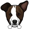 Charlie 14