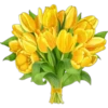 Flores Amarillas 25