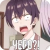 ЧЕГО?!