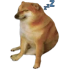 Perrito Sugoi 21