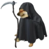 Perrito Sugoi 22