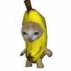 cats 23
