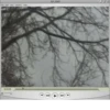 Fle Edit View Window Help 00:00:00 101_0029