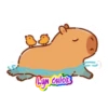Capibara 😍💕💗 25