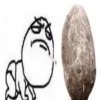 HONEST REACTION 3 23