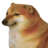 Perrito Sugoi 26