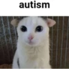 autism