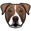 Kona 5