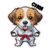 Dog Dojo 14