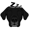 Louie 5