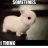SOMETIMES I THINK
