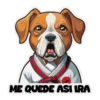 Dog Dojo 15